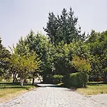 Paraiso Oliveira do Bairro