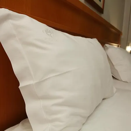 Paraiso Hotel Oliveira do Bairro