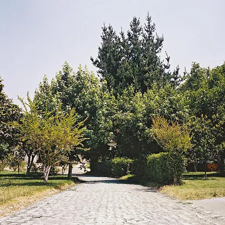 Paraiso Oliveira do Bairro