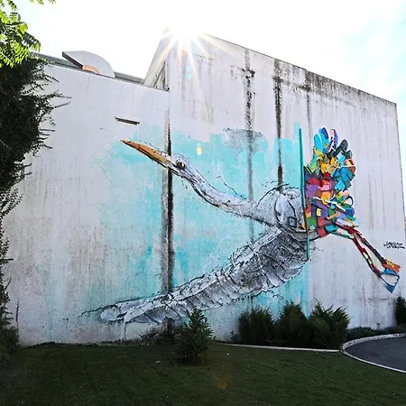 Paraiso 3* Oliveira do Bairro