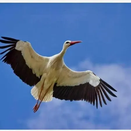 Paraiso Hotel Oliveira do Bairro