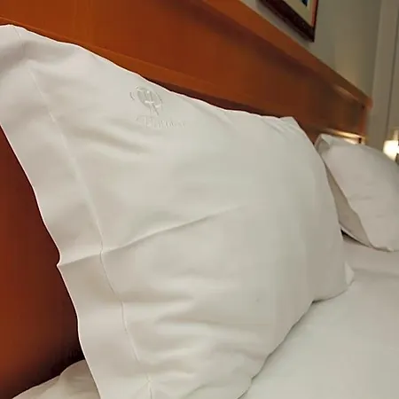 Hotel Paraiso Oliveira do Bairro