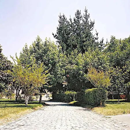 Paraiso