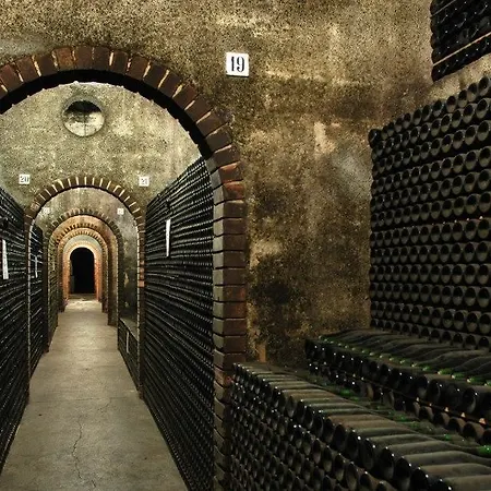 Hotel Paraiso Oliveira do Bairro