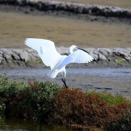 Paraiso 3* Oliveira do Bairro