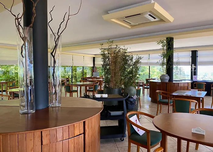 Paraiso Oliveira do Bairro