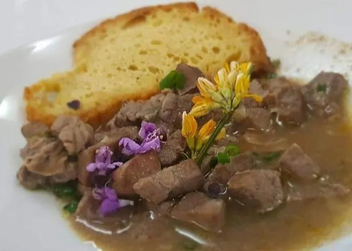 Hotel Paraiso Oliveira do Bairro