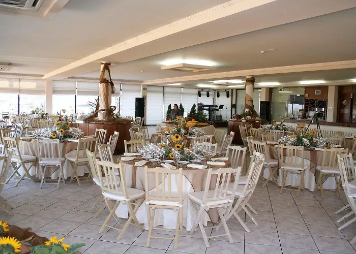 Paraiso Oliveira do Bairro