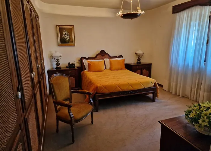 Paraiso Oliveira do Bairro