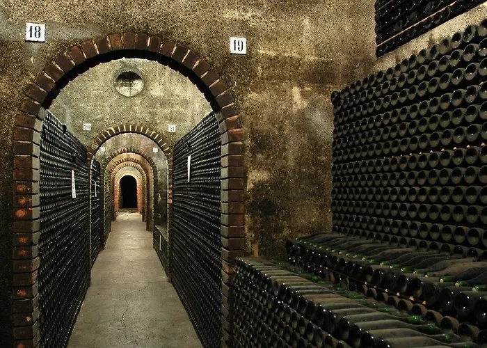 Hotel Paraiso Oliveira do Bairro