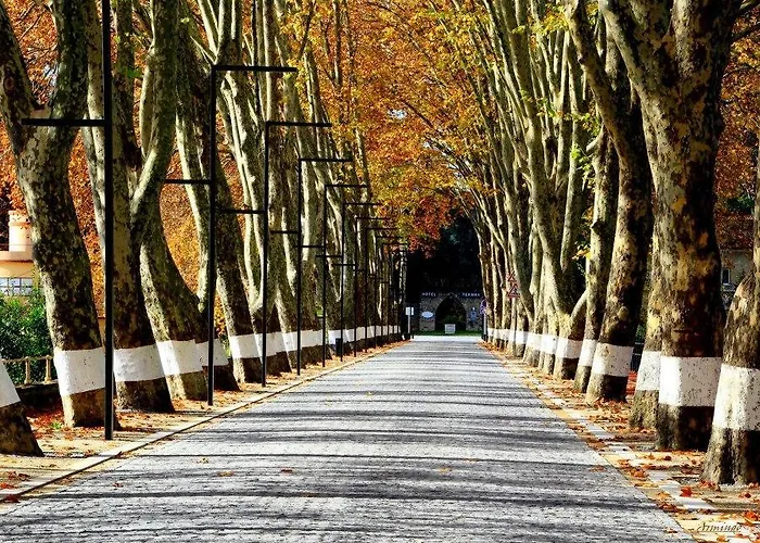 Hotel Paraiso Oliveira do Bairro