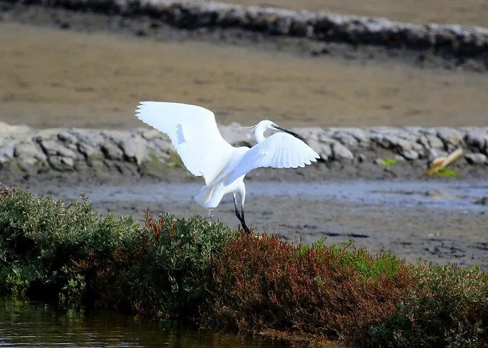 Paraiso 3* Oliveira do Bairro